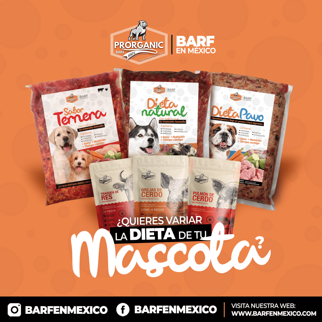 BARF en CDMX